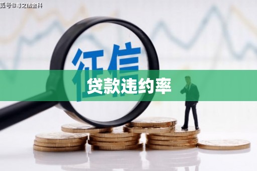 吉木乃贷款违约率