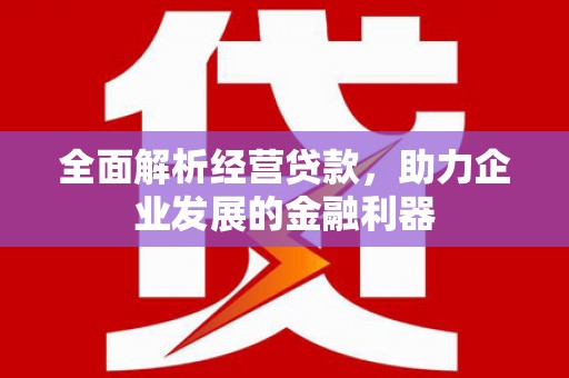 吉木乃全面解析经营贷款，助力企业发展的金融利器