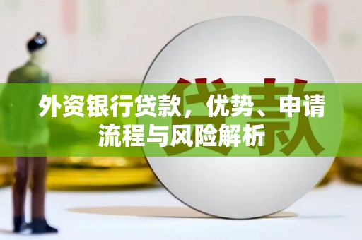 吉木乃外资银行贷款，优势、申请流程与风险解析