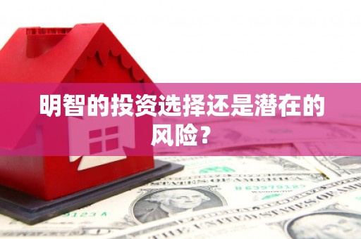 吉木乃明智的投资选择还是潜在的风险？
