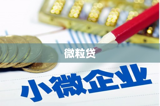 吉木乃微粒贷