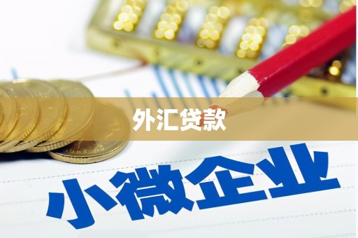 吉木乃外汇贷款