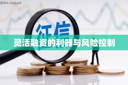 吉木乃灵活融资的利器与风险控制