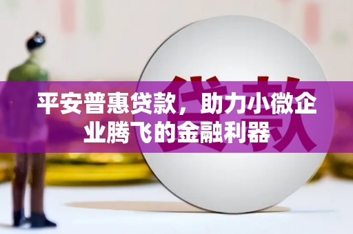 吉木乃平安普惠贷款，助力小微企业腾飞的金融利器