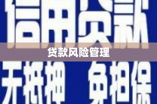 吉木乃贷款风险管理