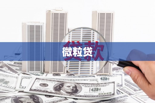 吉木乃微粒贷