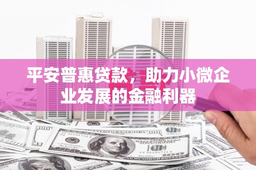 吉木乃平安普惠贷款，助力小微企业发展的金融利器