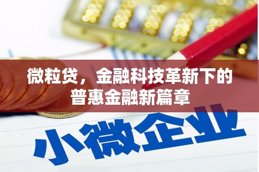吉木乃微粒贷，金融科技革新下的普惠金融新篇章
