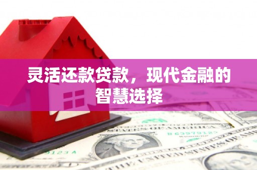 吉木乃灵活还款贷款，现代金融的智慧选择