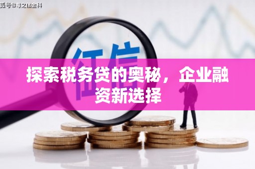 吉木乃探索税务贷的奥秘，企业融资新选择