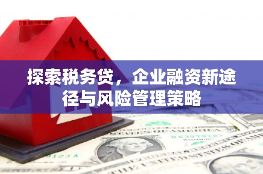 吉木乃探索税务贷，企业融资新途径与风险管理策略