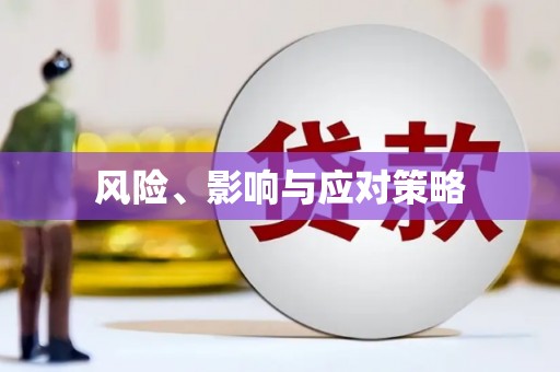 吉木乃风险、影响与应对策略