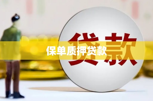 吉木乃保单质押贷款