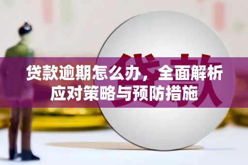 吉木乃贷款逾期怎么办，全面解析应对策略与预防措施