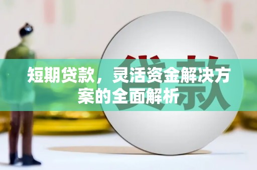 吉木乃短期贷款，灵活资金解决方案的全面解析