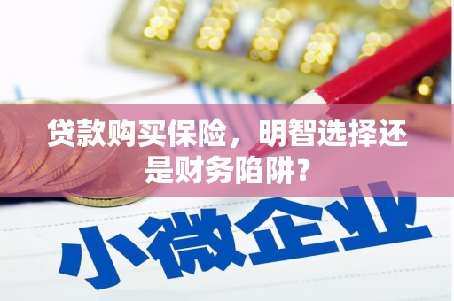 吉木乃贷款购买保险，明智选择还是财务陷阱？