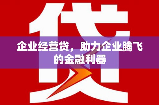 吉木乃企业经营贷，助力企业腾飞的金融利器