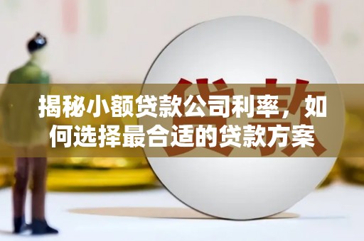 吉木乃揭秘小额贷款公司利率，如何选择最合适的贷款方案