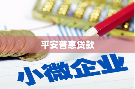 吉木乃平安普惠贷款