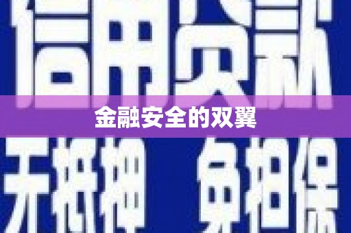吉木乃金融安全的双翼