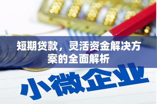 吉木乃短期贷款，灵活资金解决方案的全面解析