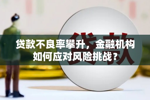 吉木乃贷款不良率攀升，金融机构如何应对风险挑战？
