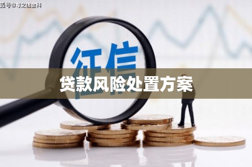 吉木乃贷款风险处置方案