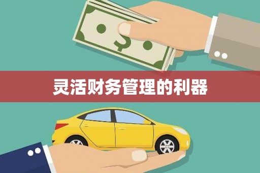 吉木乃灵活财务管理的利器