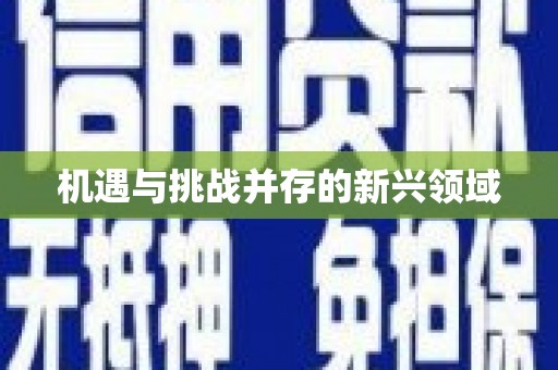 吉木乃机遇与挑战并存的新兴领域
