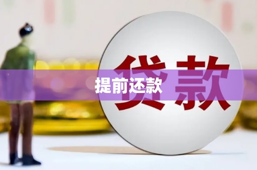 吉木乃提前还款