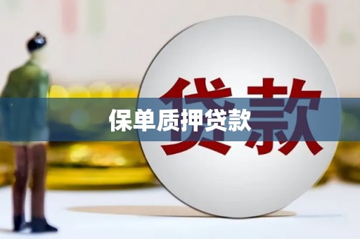 吉木乃保单质押贷款