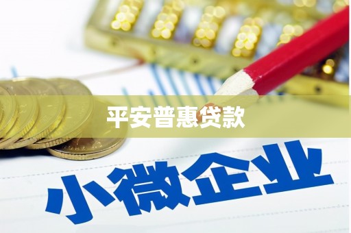 吉木乃平安普惠贷款